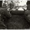mg 447